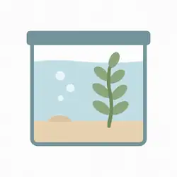 Rectangular glass aquarium tank with blue water and subtle ripples and a plant