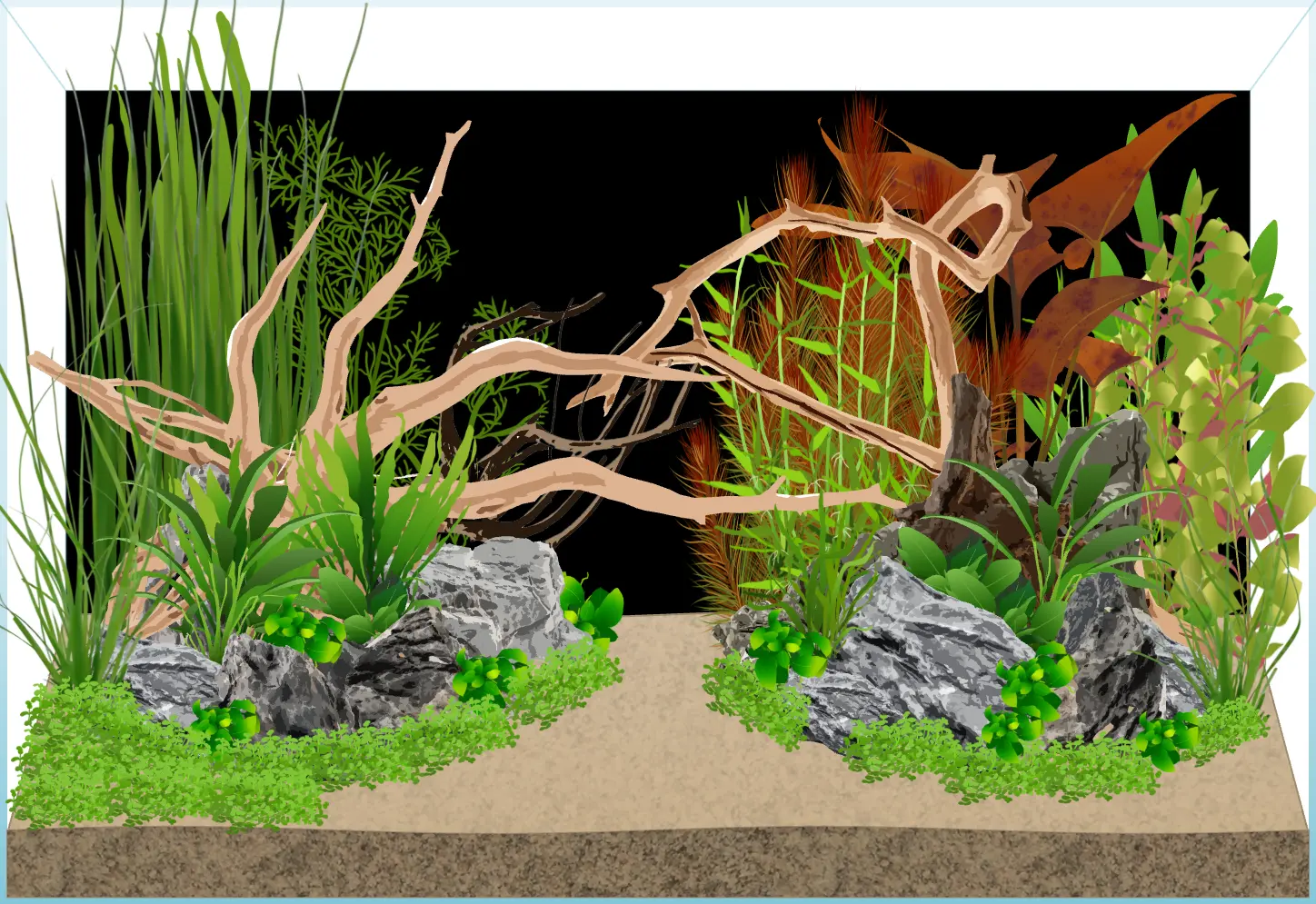 add background plants