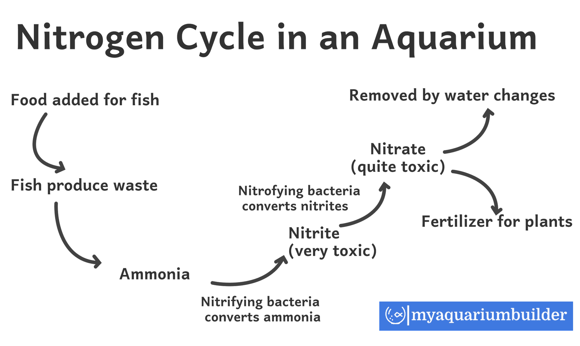 Nitrogen Cycle