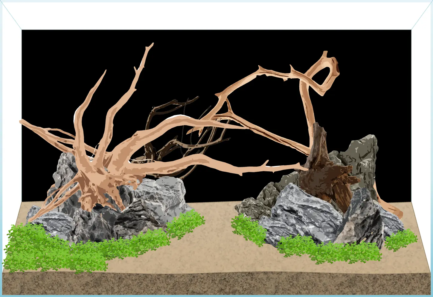 add carpeting plants