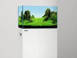 LANDEN 23 Gallon